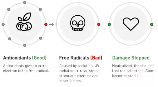 Good and Bad