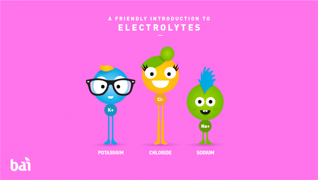 A Friendly Introduction to Electrolytes