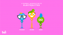A Friendly Introduction to Electrolytes