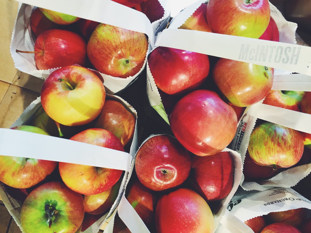 Bags of McIntosh apples