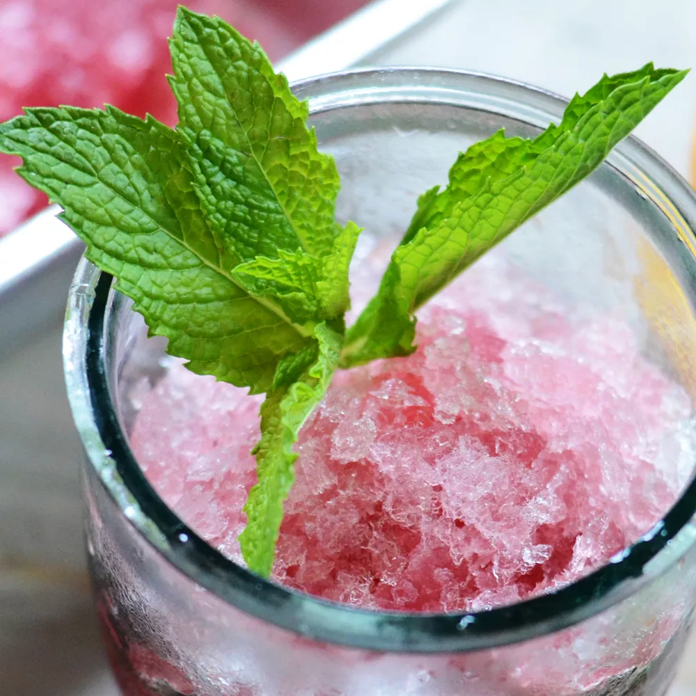 Blood Orange Blueberry Granita