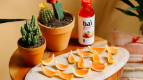 Bai Sao Paulo Strawberry Lemonade Jello Shots with cacti